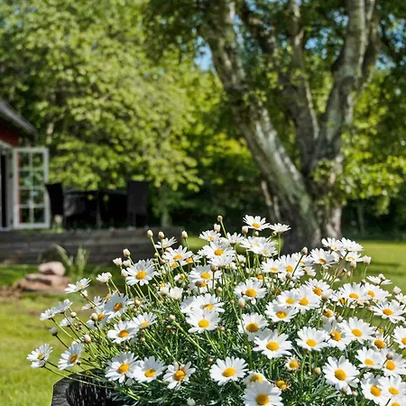 Cozy And Original On Bornholm * Neksø