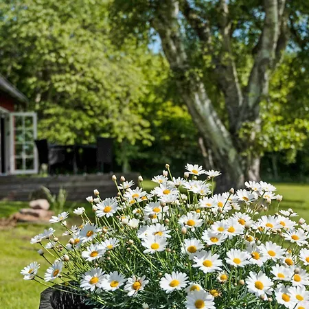 Cozy And Original On Bornholm
