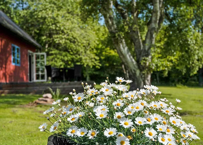 Cozy And Original On Bornholm * Нексё